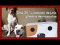 Dlog 20: Woofpack de junio y visitando festival de mascotas bazar fusion