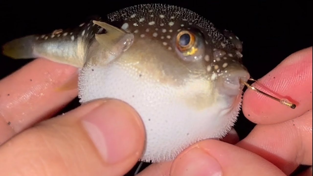 ♡フクフクページ♡ かっこいいいいいいいい！