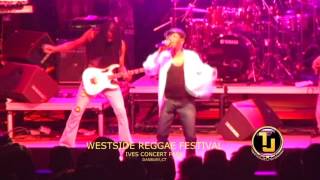 Beres Hammond (I Feel Good) Live WestSide Reggae Festival at Ives Concert Park in Danbury, CT.