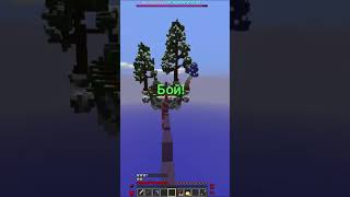 TheBridge fight