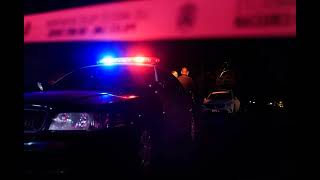 Massive Data Breach Exposes Sensitive LAPD and City Attorney Files