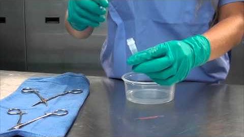 Protein Test - Control