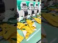 Children's jerseys,Shipped to Ghana