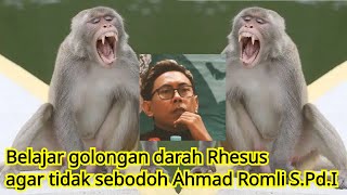 Belajar goldar Rhesus, biar tidak sebodoh DIA, S.Pd. I