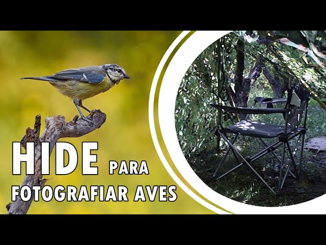 👀 🦉 Nuestro hide para observación de aves en Cuevas La Granja 👈