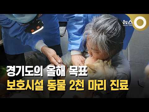경기도의 올해 목표… 보호시설 <strong>동물</strong> 2천 마리 진료