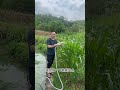 Wireless remote control water pump m #planting #irrigation #watering #pumping