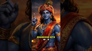 న టలట మల ఎకకడద?