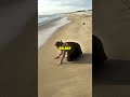Sie schrieb „Jesus" in den Sand 🙏