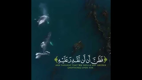 القارئ ادريس أبكر تلاوة خاشعة ارح قلبك ♡ حالات واتس اب /ستوريات قرآن || Quran status