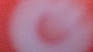 Fortnite ranked Trios with VorZe and U544M