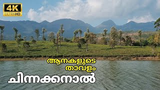 ആനകളുടെ താവളം ചിന്നക്കനാൽ 'Chinnakanal: Munnar's Enchanting Neighbor Beckons'