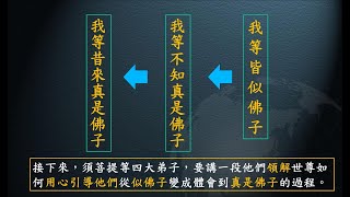 惟智薰法香心得20210720 靜思法髓妙蓮華800集