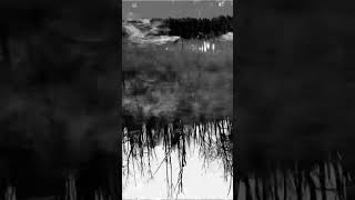 DAS RAD - hollow pines. #psych #postpunk #shoegaze