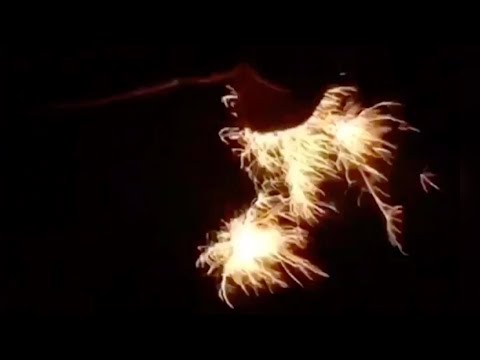【閲覧注意】 線香花火 願い事