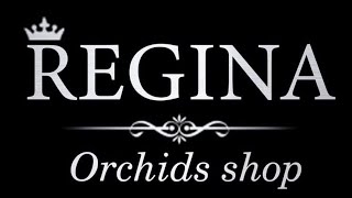 Інтернет-магазин REGINA Orchids shop. Завоз 11.05.24