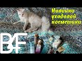 Обзор новинок уходовой косметики | #Beauty4Four