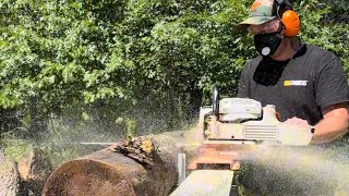 Chainsaw Milling Jack Pine for Future Rustic Woodworking Projects! Stihl MS 661 and Logosol F2+