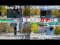 iphone 12 Pro Max vs DJI Pocket 2 vs Gopro HERO 9 vs Sony ZV-1 軽量手ぶれ補正カメラ 動画性能 比較 Camera Comparison