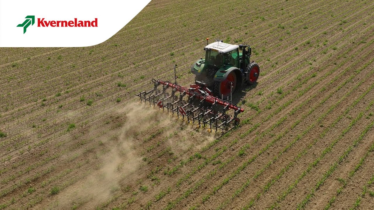 Bineuse Kverneland Onyx pour un désherbage dans les cultures en rangs (FR)