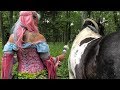 No Ads soft music meditation Bird sounds horses in nature 1 hour #meditation #meditationmusic #horse