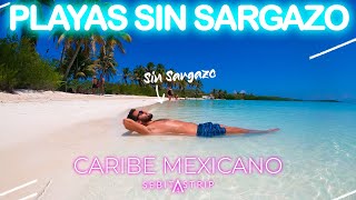 🌎🤩 PLAYAS SIN SARGAZO PARA VISITAR EN EL CARIBE MEXICANO | INFORME DE SARGAZO | @sebitastrip