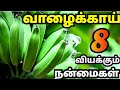   raw banana benefits tamilvalakkai benefits in tamil valakkai payangal