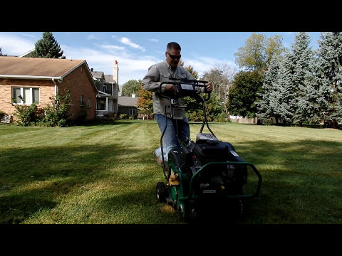 How To Aerate The Lawn : How To Use A Core Aerator