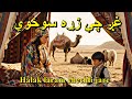 Alak Laram Chichali هلک لړم چیچلی ژاړی 