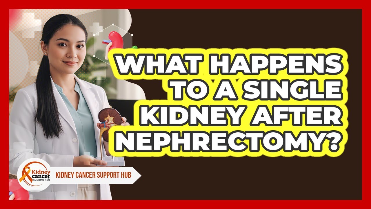 What Happens To A Single Kidney After Nephrectomy?
