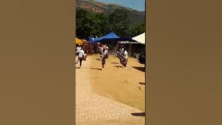 SEREMI MAKOTI O TLILE