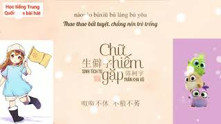 [Vietsub + Pinyin] Chữ hiếm gặp (Sinh Tích Tự) - Trần Kha Vũ || 生僻字 - 陈柯宇