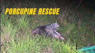 Porcupine Rescued from Empty Water Tank by Forest Department and Eco Echo Foundation | Nashik