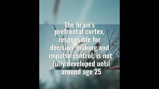 Brains Part for Decision making videoshort fact human