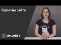 Скрипт сайта: что это и для чего он нужен | SEMANTICA