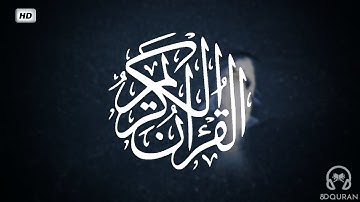 أجمل تلاوة قصيرة بصوت مؤيد المزين| حالات واتس اب دينية
