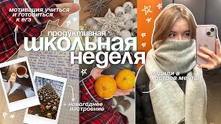 НЕДЕЛЯ STUDY ВЛОГОВ | ✨❄️ ранние подъемы, учеба, подготовка к ЕГЭ и поездка в ОМ ! / STUDY WITH ME