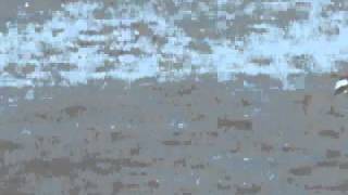 MVI_2115.AVI Update