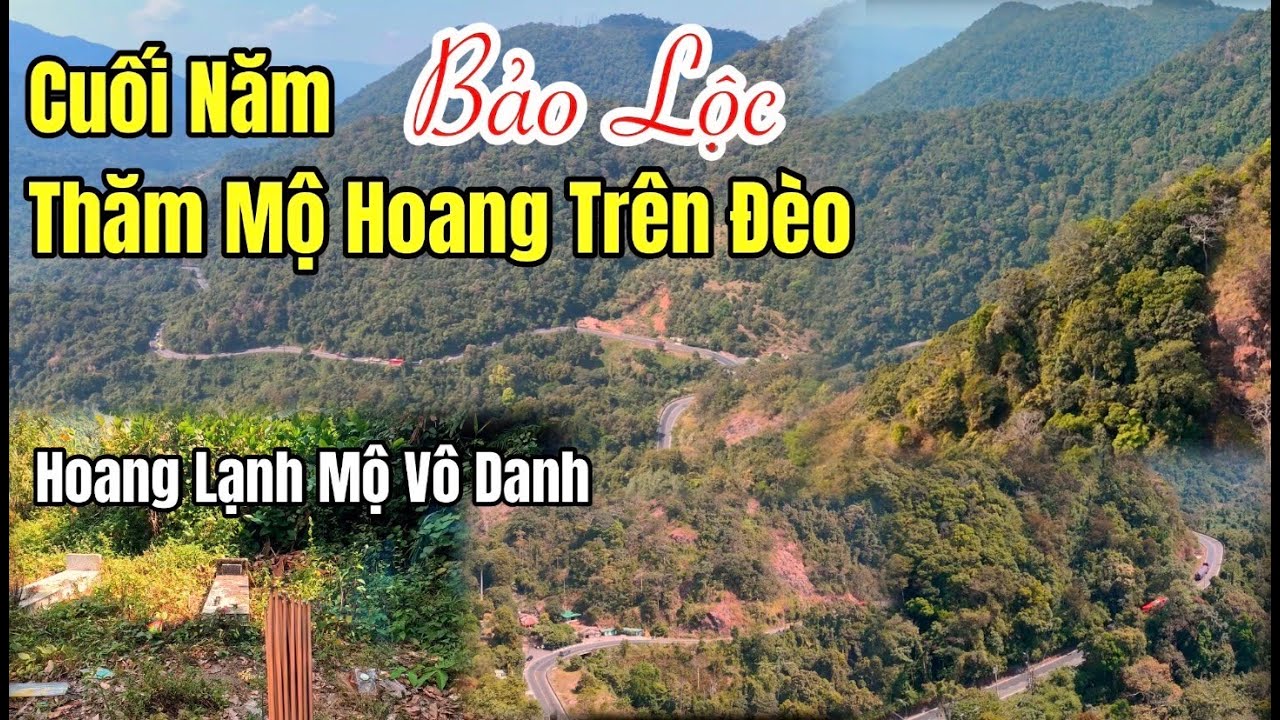 Cuối năm thăm những ngôi mộ hoang trên đèo Bảo Lộc, huyền ảo cảnh rừng Bảo Lộc mùa thay lá.