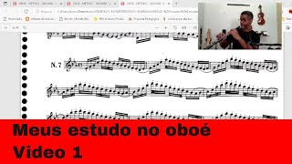 Meus estudos no oboé -Salviane - Video 1 screenshot 2