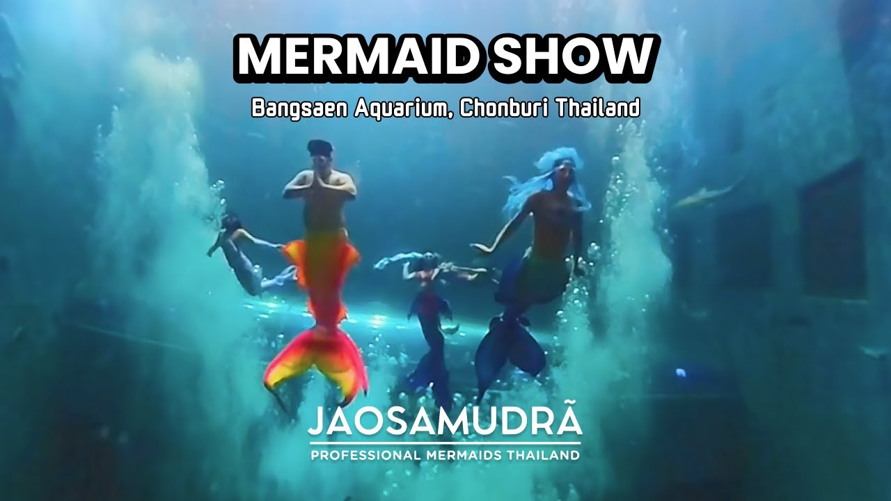 MermaidShow in Bangsan Aquarium (5-9 Dec 2024)