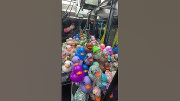I Won The BEST RUBBER DUCK From The Claw Machine!