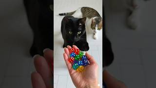 Ornaments & Backgammon Dice ASMR 🎧🎄🎲