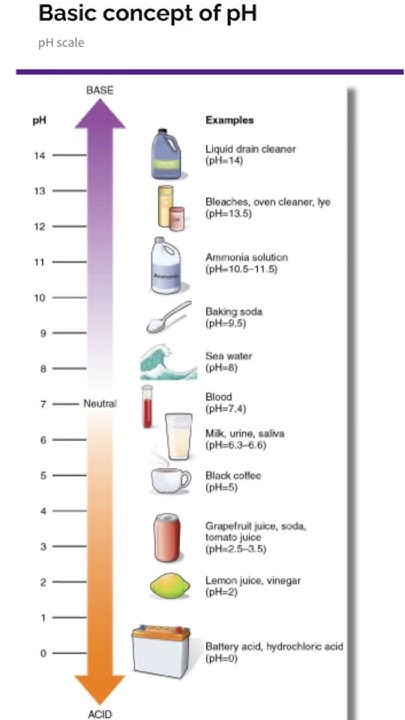 What Is PH Scale For Different Substance YouTube what-is-ph-scale-for-different-substance-youtube