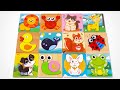 Learn Animal Shapes And Names Preschool Learning Video 