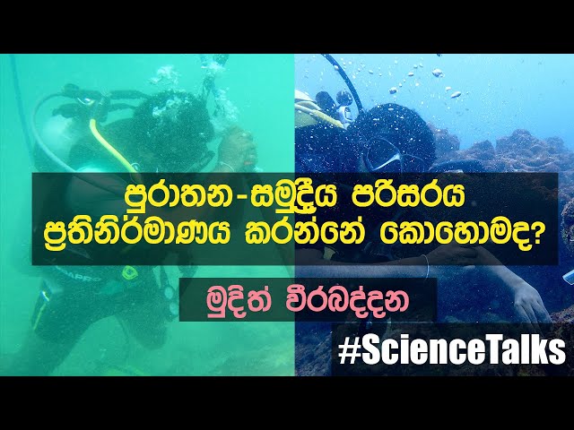 Paleoceanography - Let's walk into the past (Fisheries & Marine Sciences) | Mudith Weerabaddana