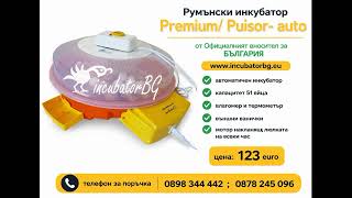 Румънски инкубатори Cleo 5 директно от официалният за БЪЛГАРИЯ представител www.incubatorbg.eu