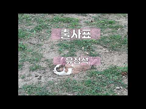 (노래연습) 출사표 - 유정석