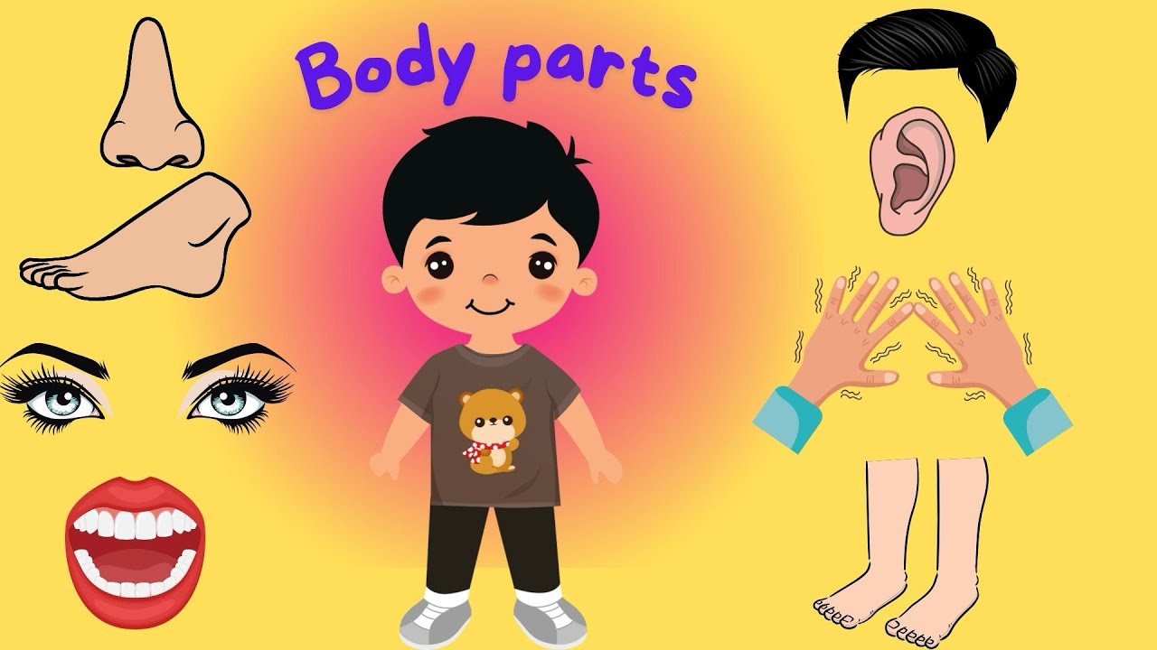 Let’s learn body parts name for kids - YouTube