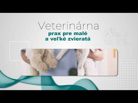 Video: Zoonotické Choroby Veľkých Zvierat Riziká Veterinárnej Praxe Denný Veterinár